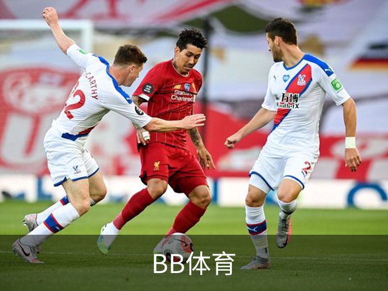 关于BB体育